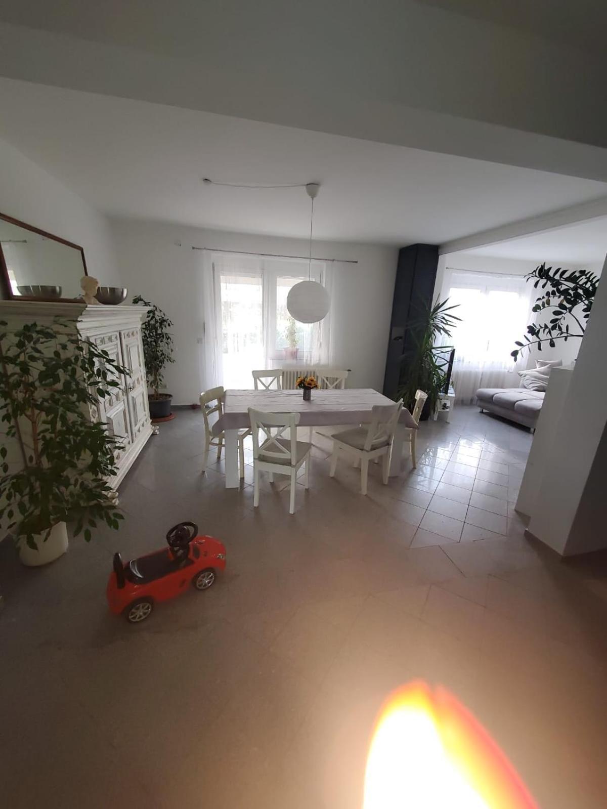Grosse 3 Zi Wohnung Auf Der Pferde Farm Lahr/Schwarzwald Extérieur photo