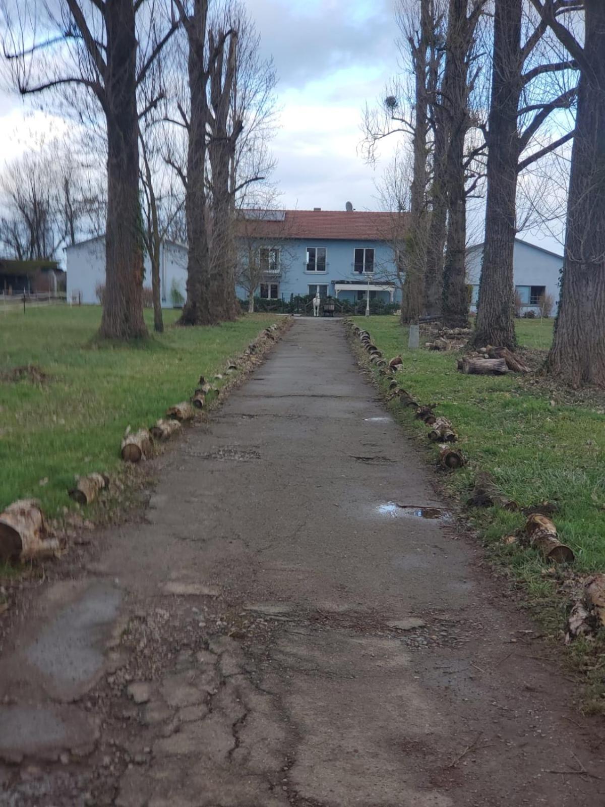 Grosse 3 Zi Wohnung Auf Der Pferde Farm Lahr/Schwarzwald Extérieur photo